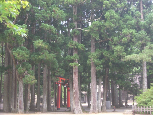 @ Mt. Kouyasan 19th August 2010